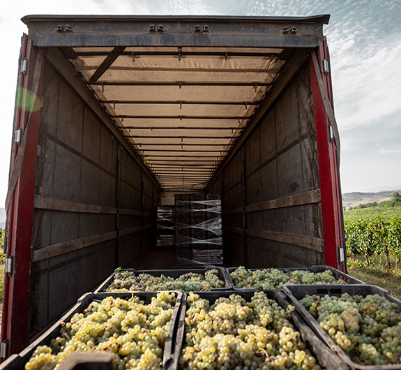 Ertragsausfallversicherung