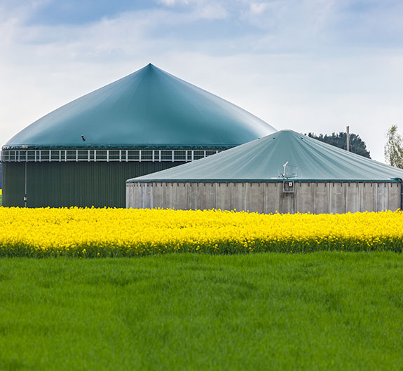 Ertragsausfallversicherung